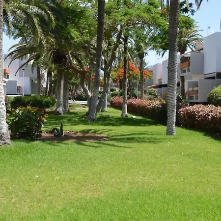 Apartamento Costa Del Silencio Arona (Tenerife)